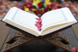 کسب رتبه نخست کشوری در جشنواره قرآنی هدهد توسط دانشگاه علوم پزشکی شیراز