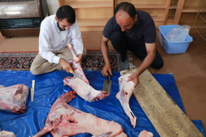 قربانی 30 راس گوسفند و توزیع گوشت گرم میان نیازمندان