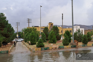 فیلم| باران در شیراز