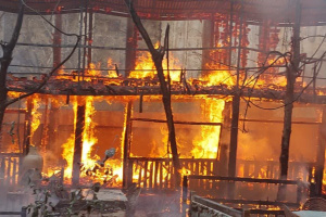 آتش سوزی در باغ رستوران نخلستان +تصاویر