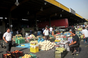 تمهیدات شهرداری شیراز برای ارائه میوه تنظیم بازار در آستانه عید نوروز