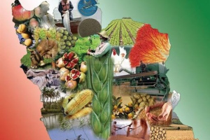 وظیفه اصلی جهاد کشاورزی صیانت و حفاظت از امنیت غذایی کشور است