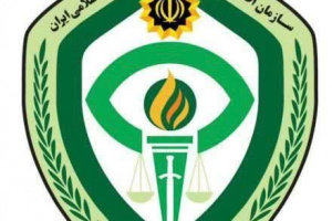 عامل اصلی ارتباط با شبکه‌های معاند و برنامه‌ریزی برای ایجاد ناامنی در استان فارس دستگیر شد