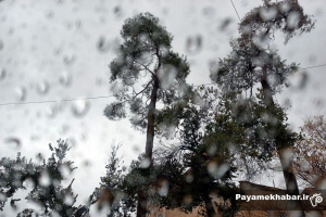 گزارش تصویری| روز بارانی در شیراز
