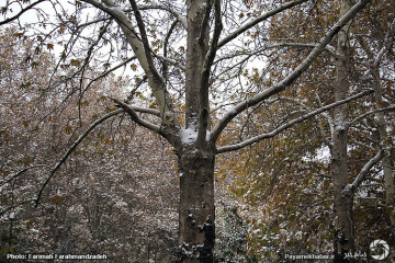 نخستین برف پاییزی در تهران