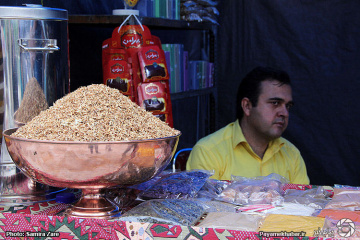 جشنواره بهار نارنج در شیراز