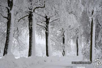 برف و سرما در نقاط مختلف جهان