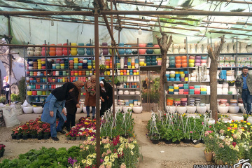 بازار گلفروشی های خیابان قصردشت شیراز