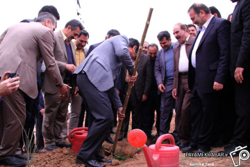 مراسم جشن درختکاری در شیراز
