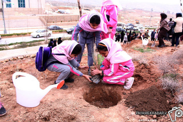 مراسم جشن درختکاری در شیراز