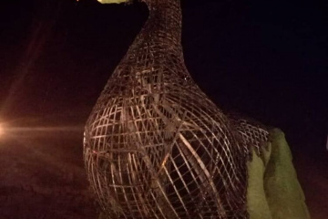 سوختن طاووس جدید دروازه قرآن