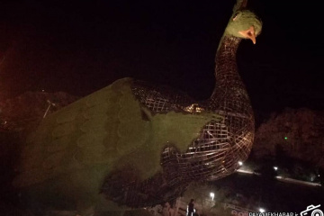 سوختن طاووس جدید دروازه قرآن
