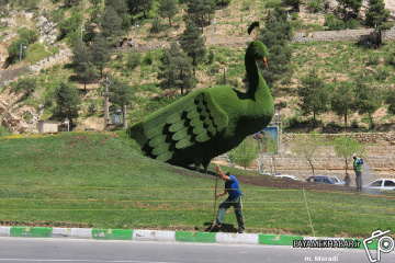 طاووس جدید شیراز پس از بازسازی
