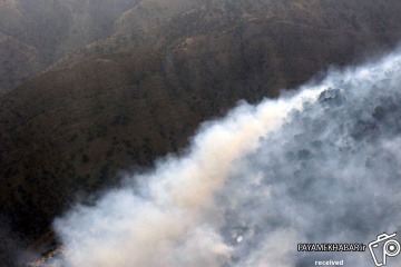 آتش سوزی درختان بلوط منطقه نورآباد ممسنی و کمک رسا