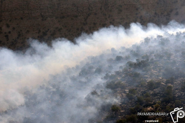آتش سوزی درختان بلوط منطقه نورآباد ممسنی و کمک رسا