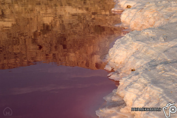 قرمز شدن دریاچه مهارلو