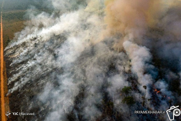 آتش سوزی در جنگل آمازون