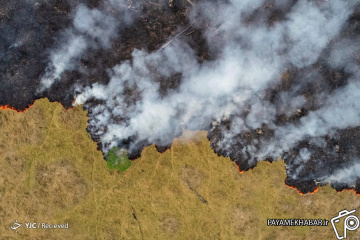 آتش سوزی در جنگل آمازون