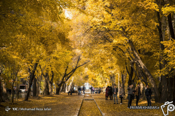 پاییز در چهارباغ اصفهان