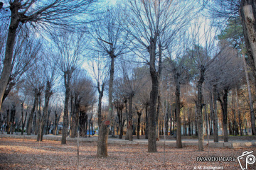نماهای زمستانی در پارک آزادی شیراز