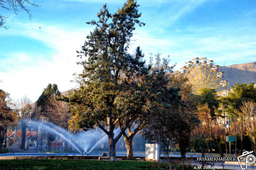 نماهای زمستانی در پارک آزادی شیراز