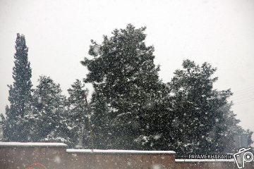 بارش برف در مناطق غربی شیراز