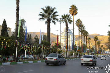 استقبال شیراز از میلاد حضرت امیرالمومنین علی (ع)