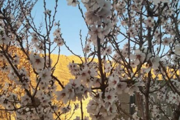 طبیعت برفی و زیبای دراک در چهارمین روز بهار 99
