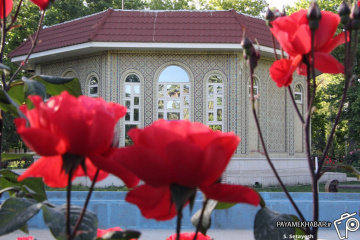 گزارش تصویری روز شیراز