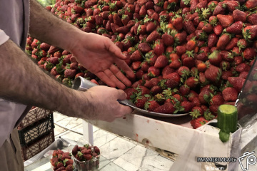 میدان تره بار و میوه فروشی در تهران - توت فرنگی