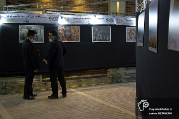 مراسم افتتاح نمایشگاه خرما و قهوه در شیراز