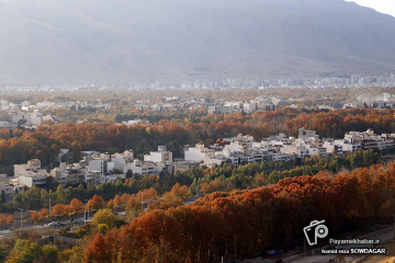 پاییز شیراز