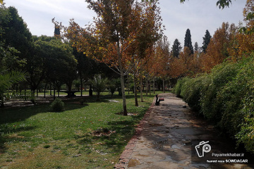 پاییز شیراز