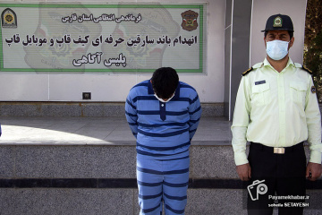 کشفیات اخیر نیروی انتظامی فارس - دستگیری سارق
