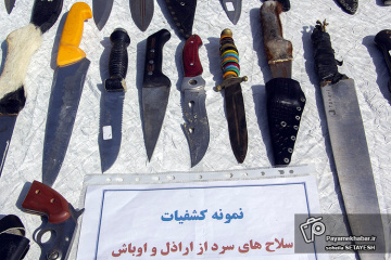 کشفیات اخیر نیروی انتظامی فارس - سلاح سرد