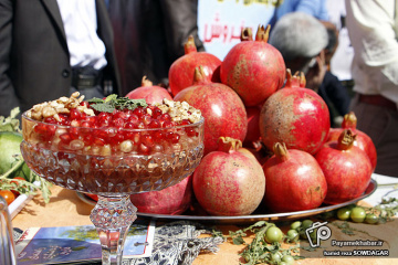 جشنواره انار در فارس