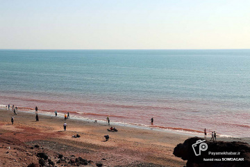 طبیعت زیبای جزیره هرمز‎‎ - سواحل خلیج فارس