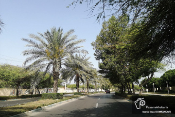 شهرستان بوشهر
