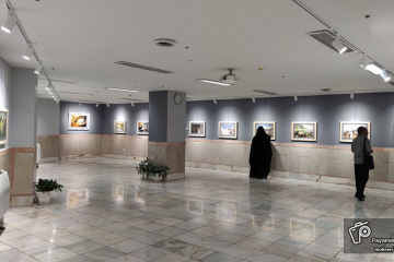 نمایشگاه عکس دهه کرامت در مشهد مقدس