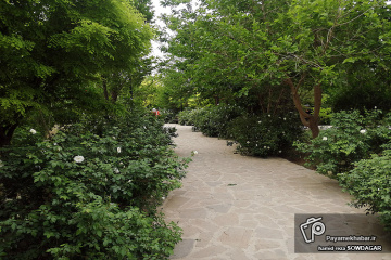 باغ رویا‎ شیراز