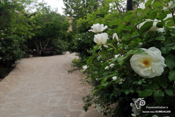 باغ رویا‎ شیراز
