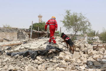 امدادرسانی به زلزله زدگان بندر خمیر - سگ آنست زنده