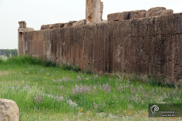 تخت جمشید