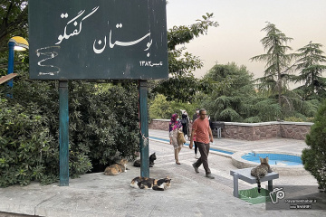 بوستان گفتگو تهران