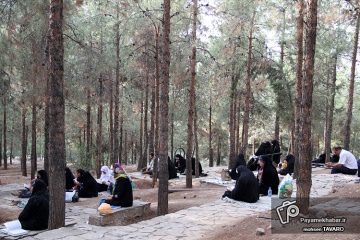 مراسم  دعای عرفه در تپه نورالشهدا شیراز
