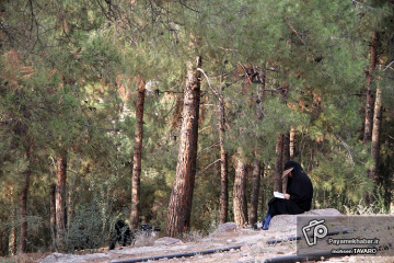 مراسم  دعای عرفه در تپه نورالشهدا شیراز