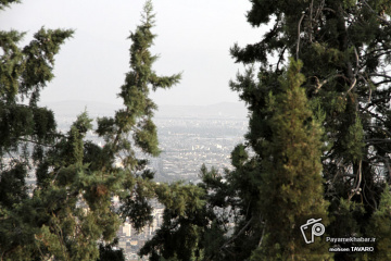 برفراز شیراز