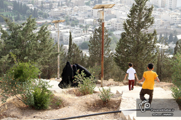 برفراز شیراز