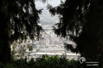 برفراز شیراز