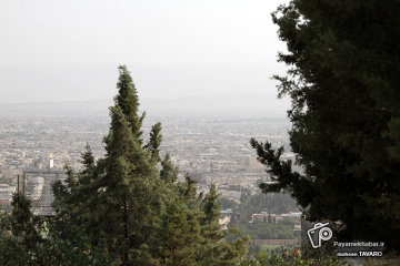 برفراز شیراز